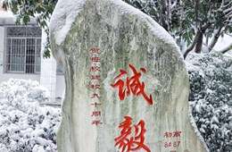诚毅石