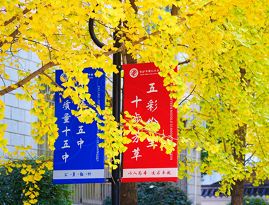 推开课堂的窗，看见成长的光｜校园开放日的实景体验